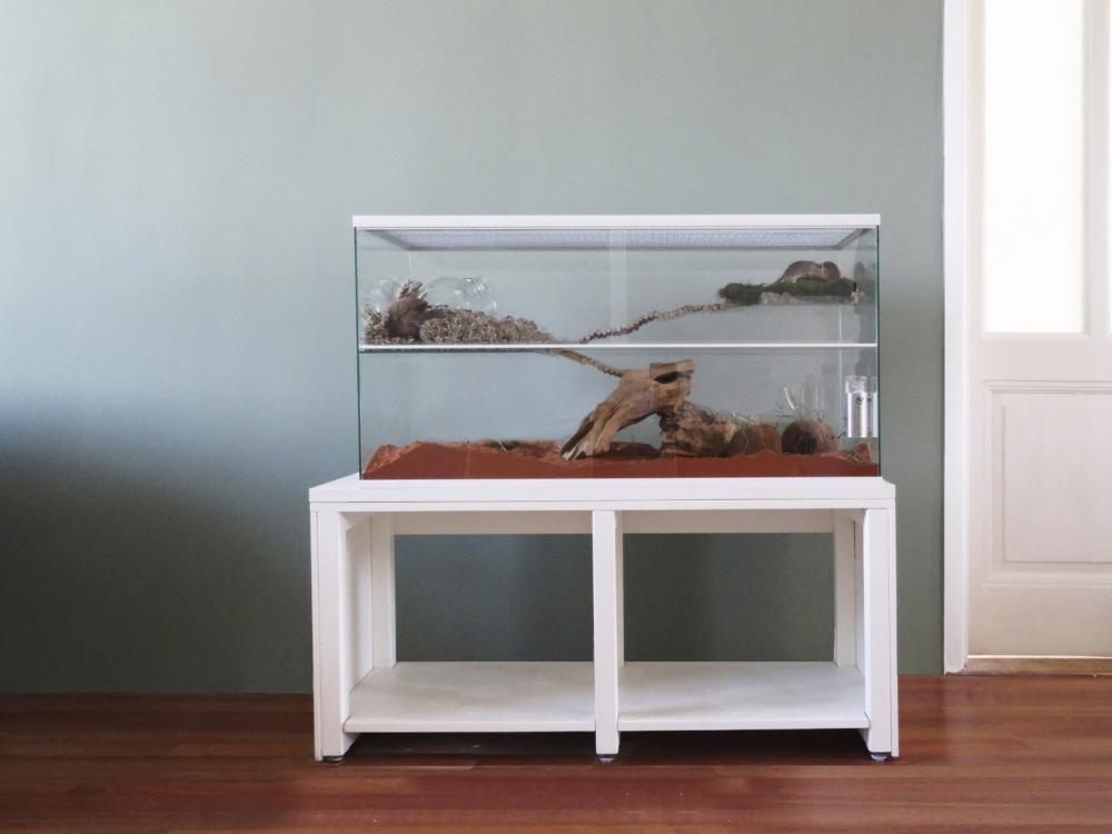 Knaagdieren terrarium met witte profielen
