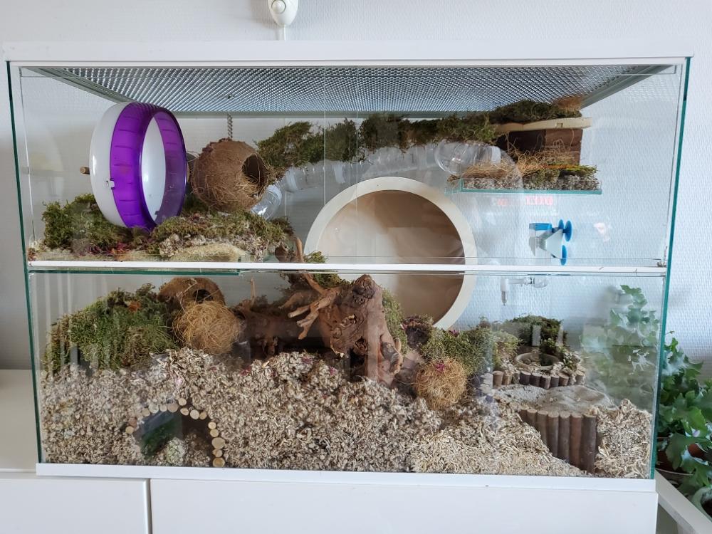 Knaagdieren terrarium met witte profielen