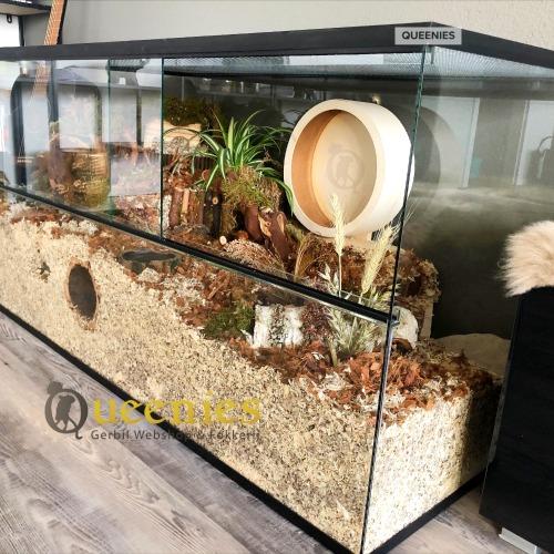 Hamsterscaping renrad voor goudhamster of dwerghamster