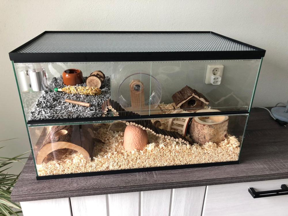 Gerbil / hamster Terrarium 40 hoog varianten