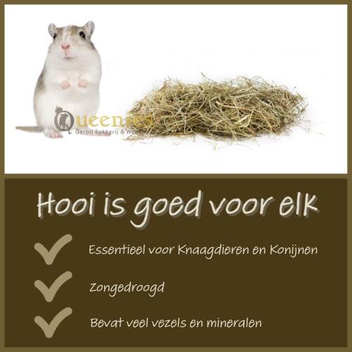 Hooi is goed voor elk knaagdier