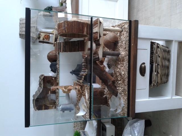 Gerbilarium met knaagdier speelgoed 60x40x60