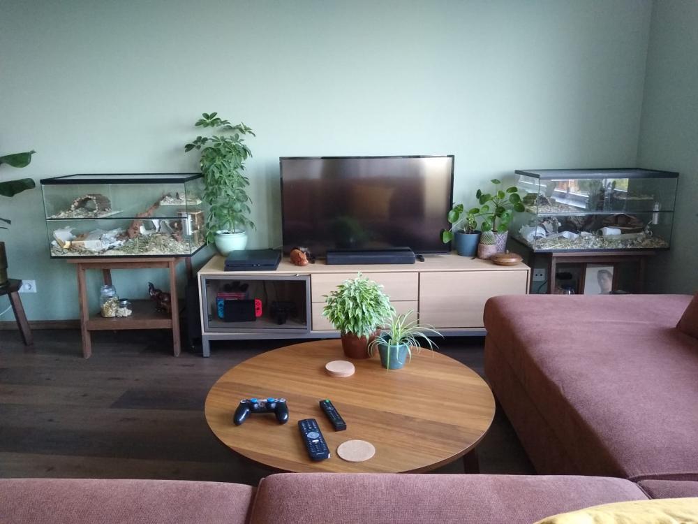 Gerbil / hamster Terrarium 40 hoog varianten