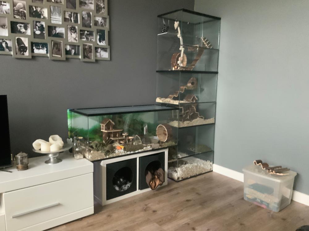 Knaagdieren terrarium voor Gerbils 100x40x40