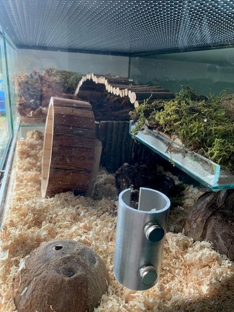 Gerbil / hamster Terrarium 40 hoog varianten