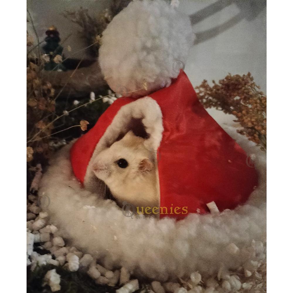 Iglo voor Hamster