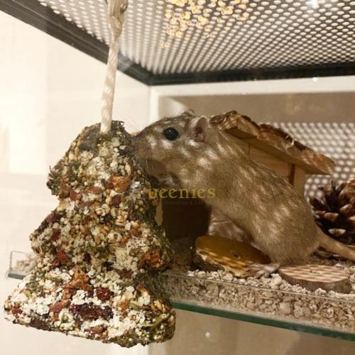 Kerstboom van gedroogd fruit voor Ratten