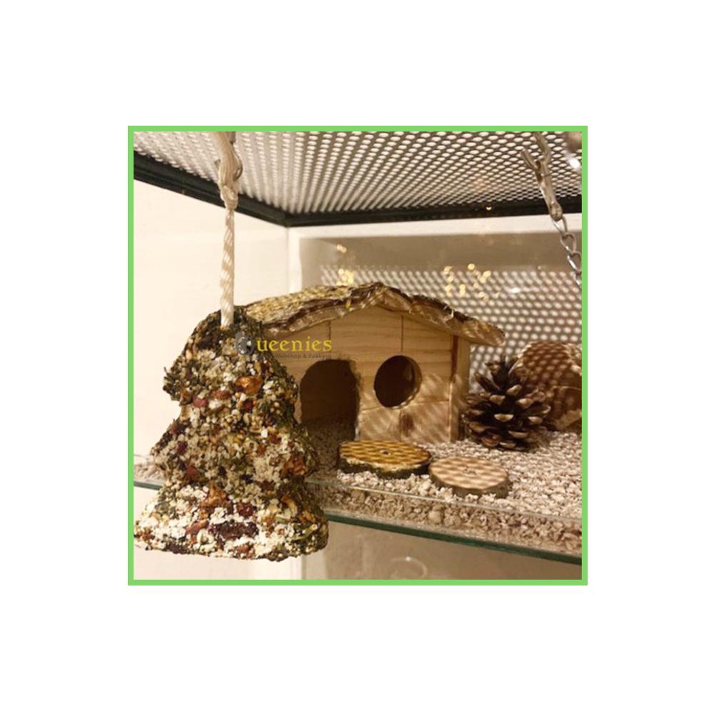 Kerstboom van gedroogd fruit voor Gerbils