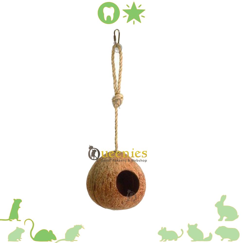 Hangende Kokosnoot met ijzeren ketting