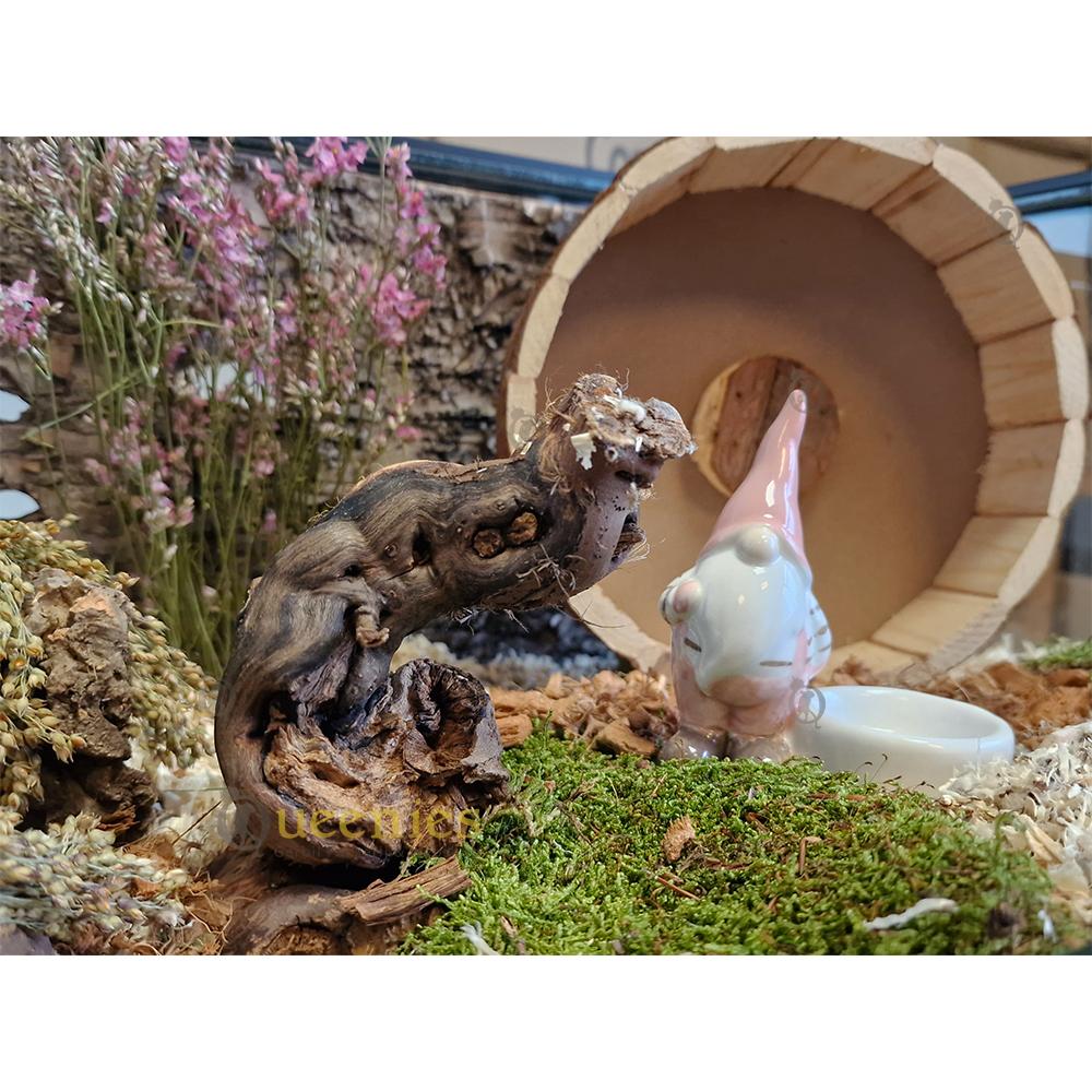 Roze kabouter in thema Hamsterscape