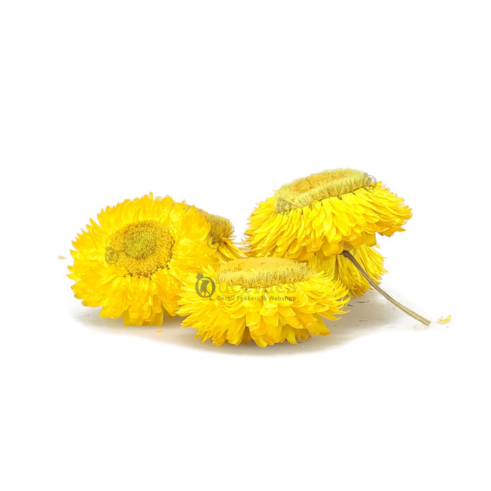 Hamsterscaping bloemen geel