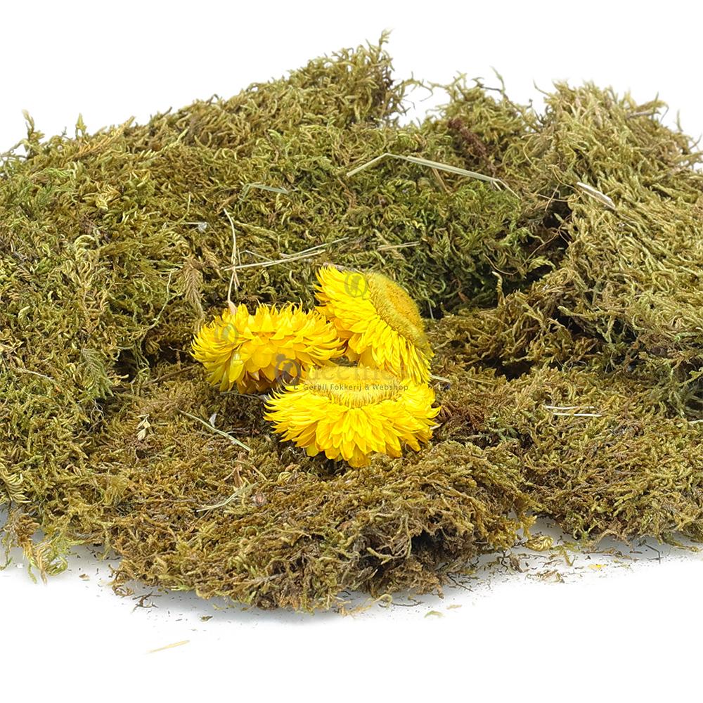 Bloemen voor Knaagdieren