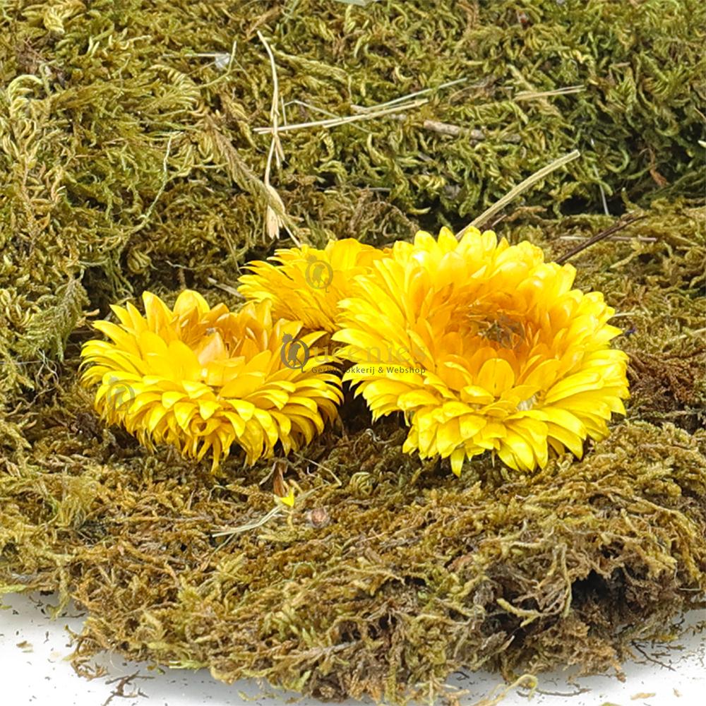 Gedroogde bloemen voor Knaagdieren
