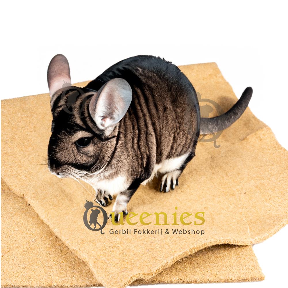 Chinchilla bodembedekking