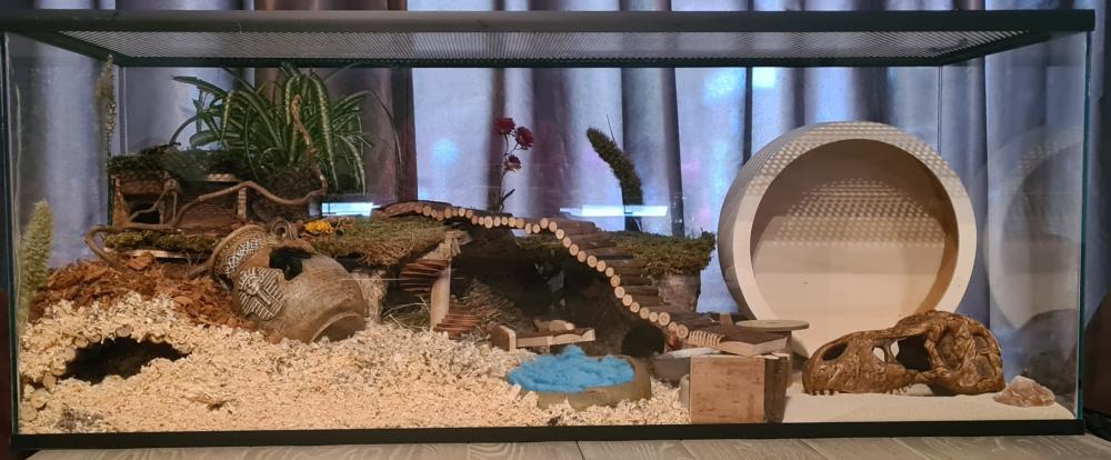 Knaagdierenkooi van glas voor hamster 100x40x40