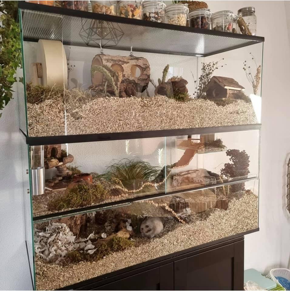 Opzetstuk Gerbilarium 100x40