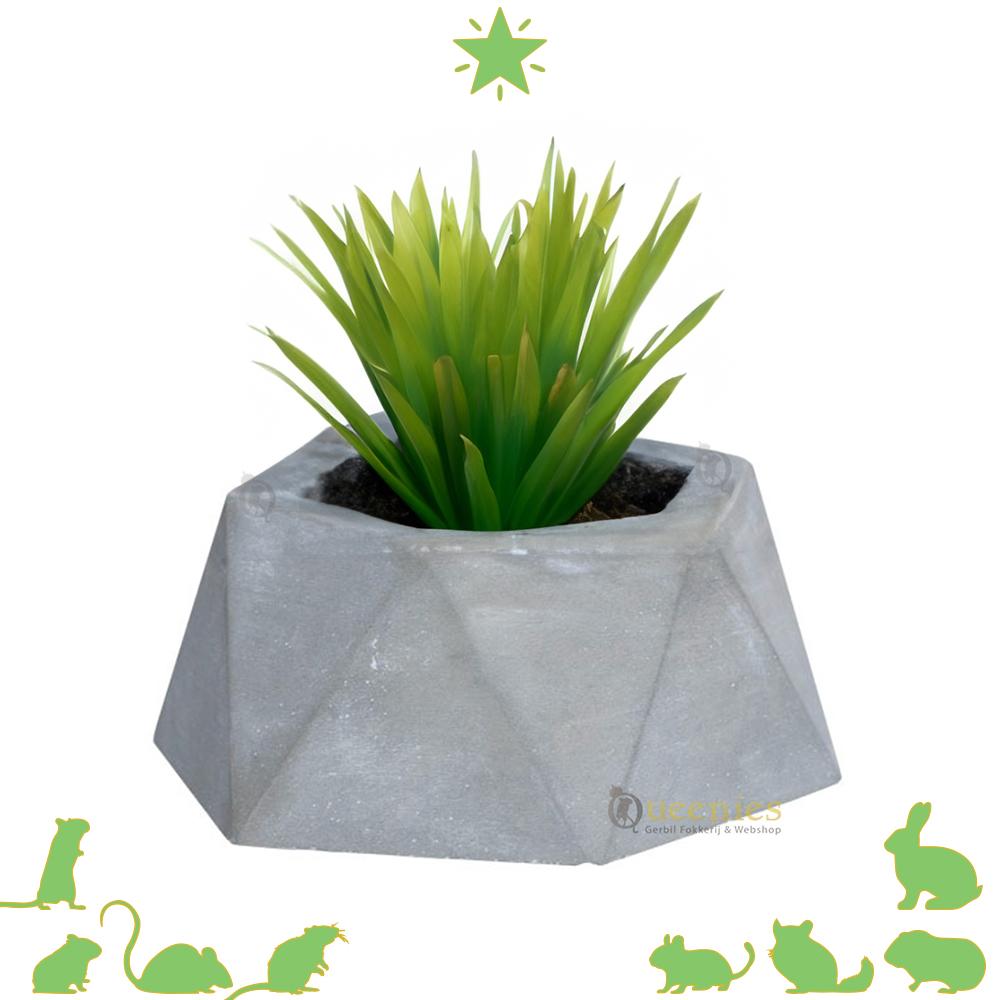 Plantenbak voor Hamsterscape