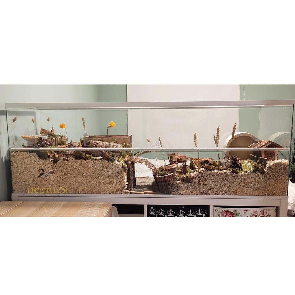 Hamster Terrarium met witte profielen
