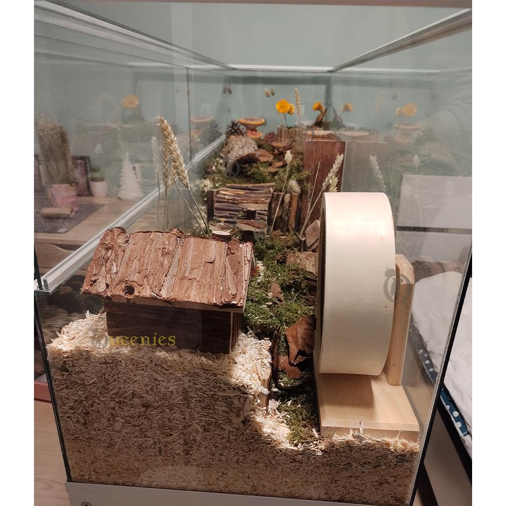 Knaagdieren terrarium met witte profielen voor gerbils