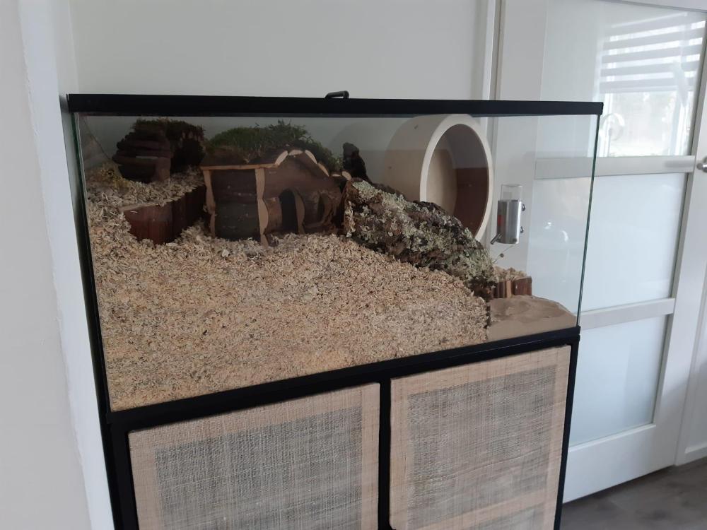 Gebruikt Aquarium 80x40x40 zonder schuifruiten en zonder plateaus