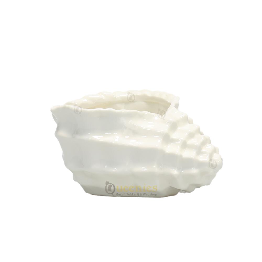 Decoratie zandschelp parelmoer