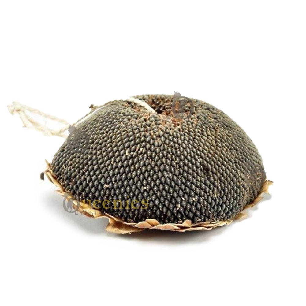 Gedroogde Zonnebloemkop