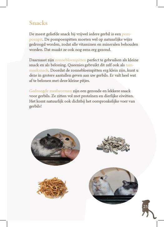 Gerbil informatie boekje