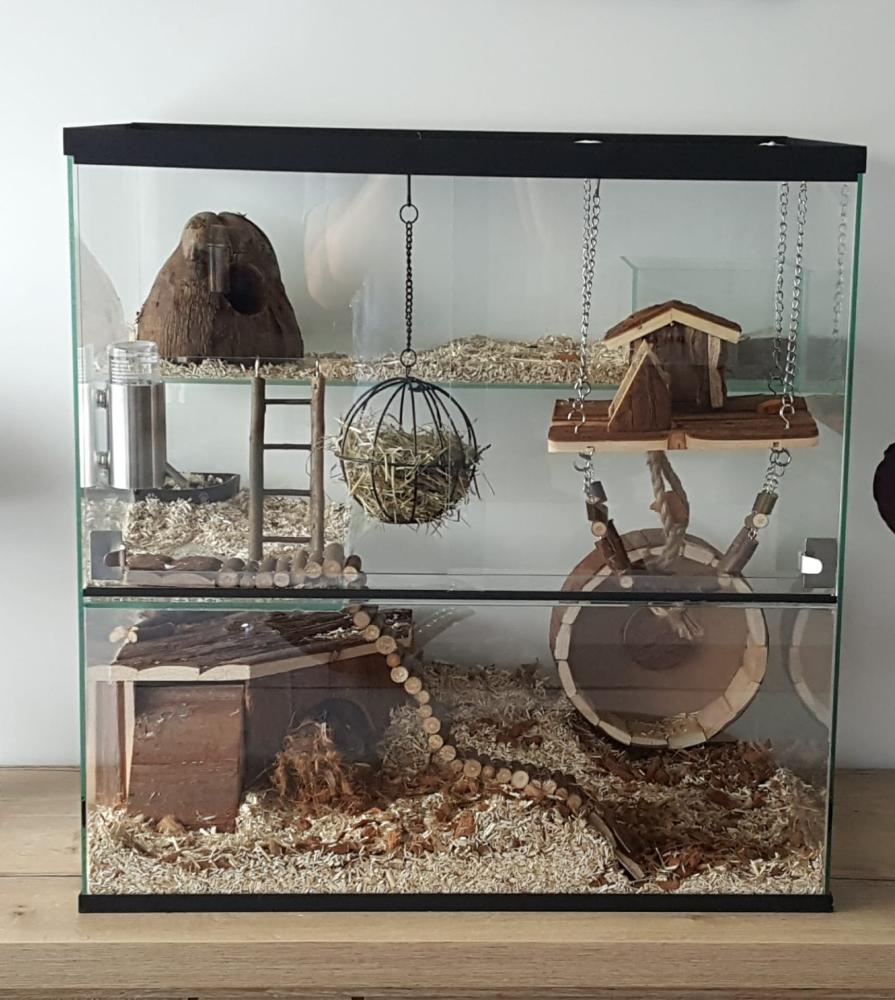 Gerbilarium 60x40x60 meet natuurlijke inrichting