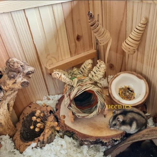 Trosgierst voor knaagdieren