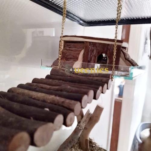 Thordis klantfoto op plateau met hangbrug