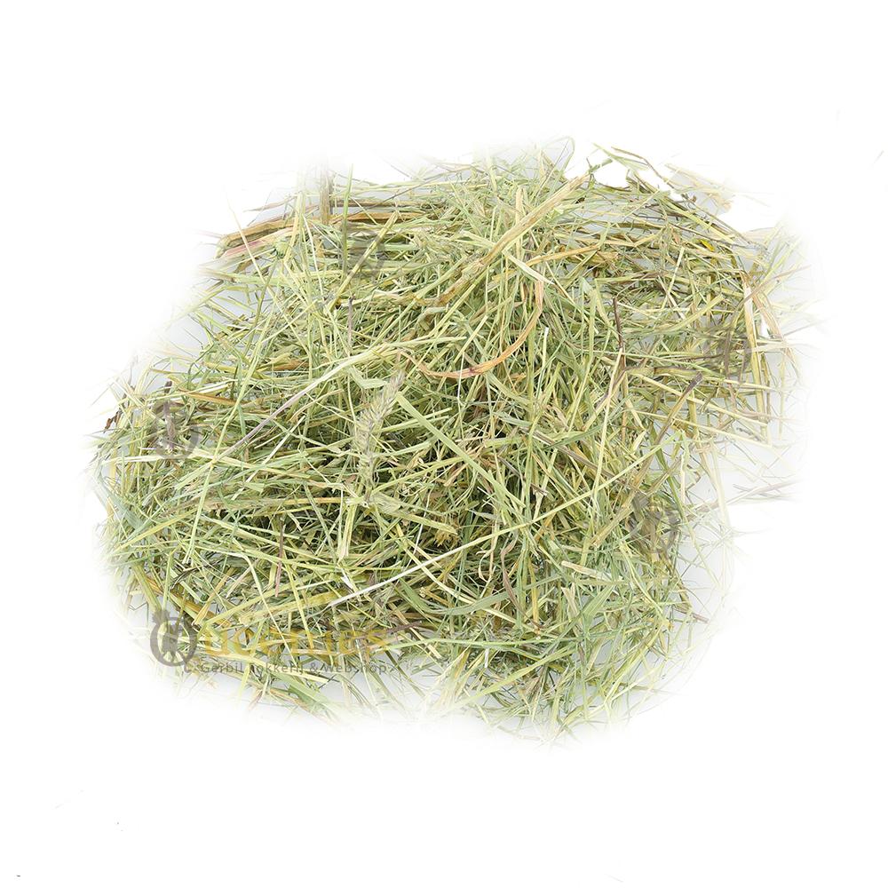 Mooi groen gedroogd hooi voor Hamsters en Gerbils