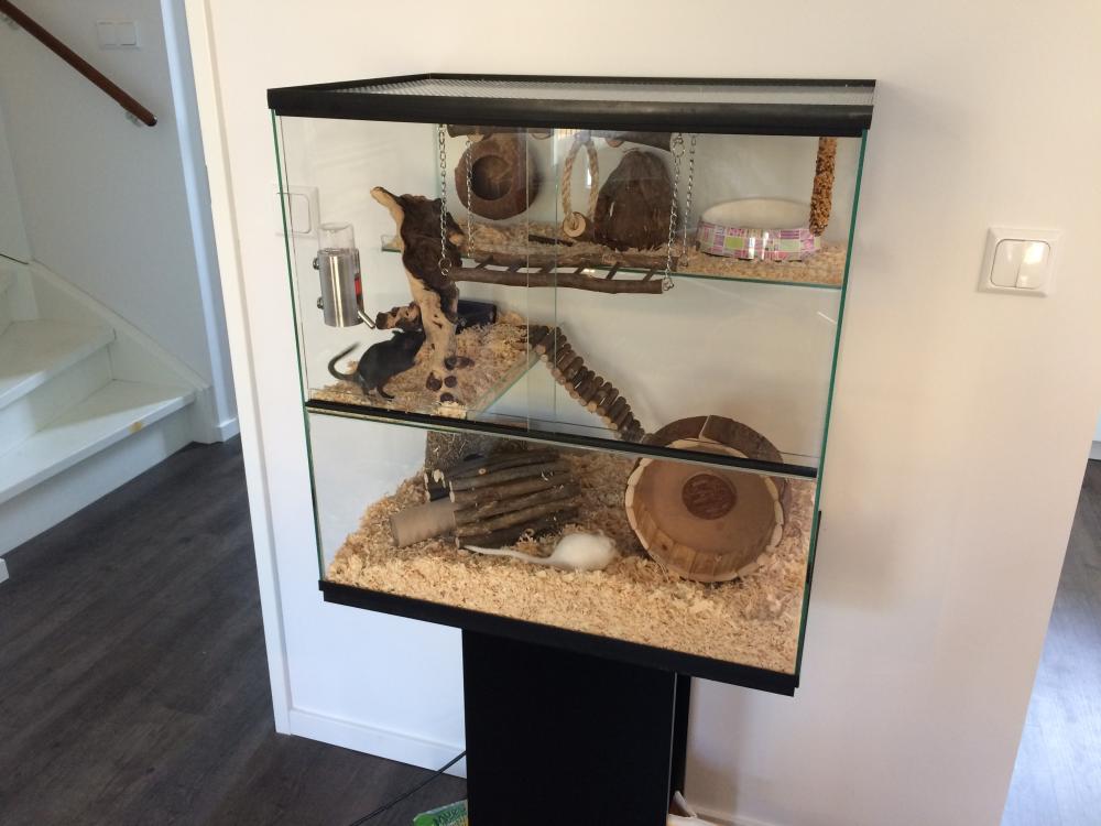 Gerbilarium 60x40x60 met onderkast