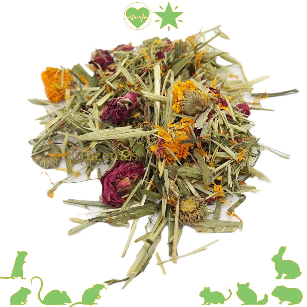 Gedroogde Gerbil bloemen mix