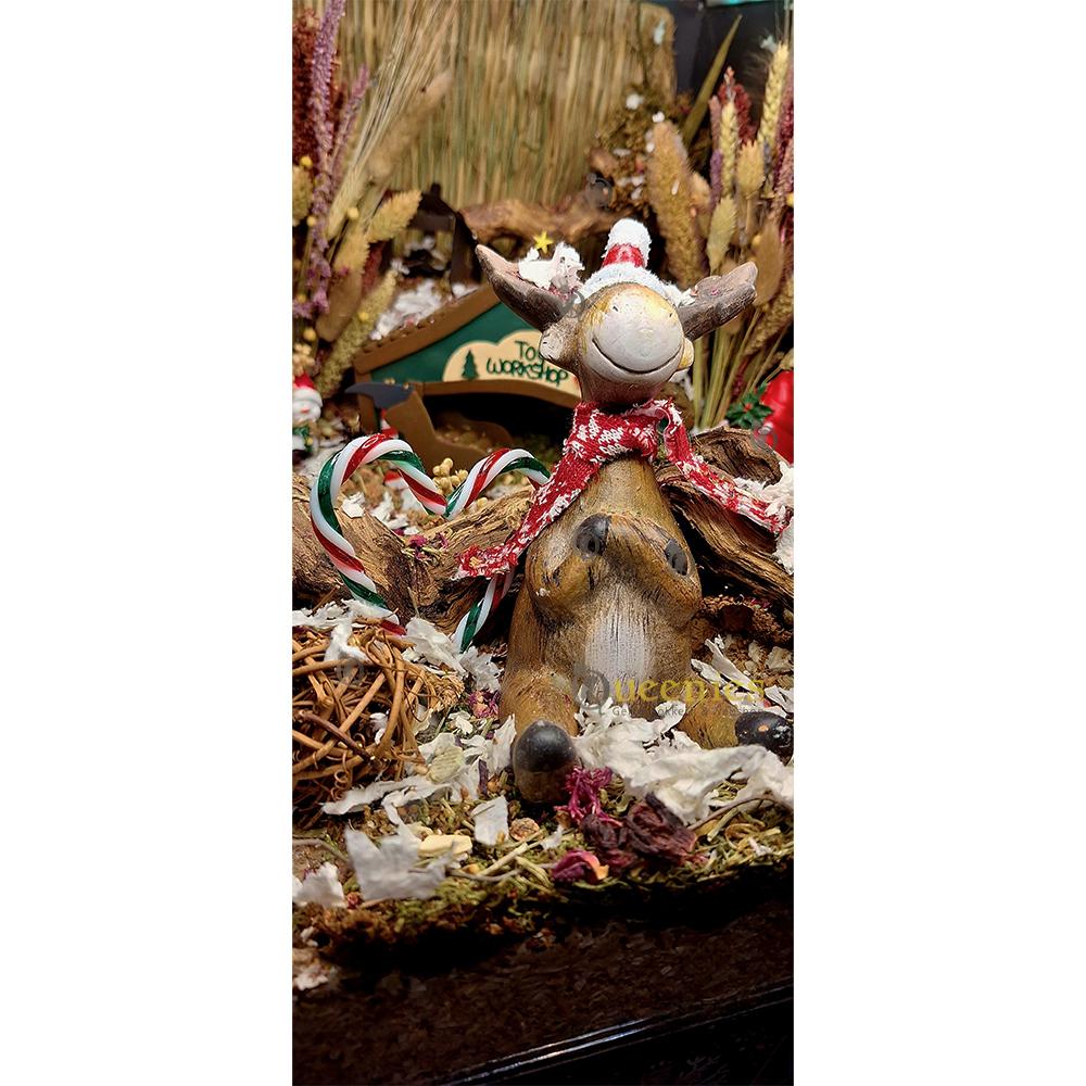 Eland in Kerstscape
