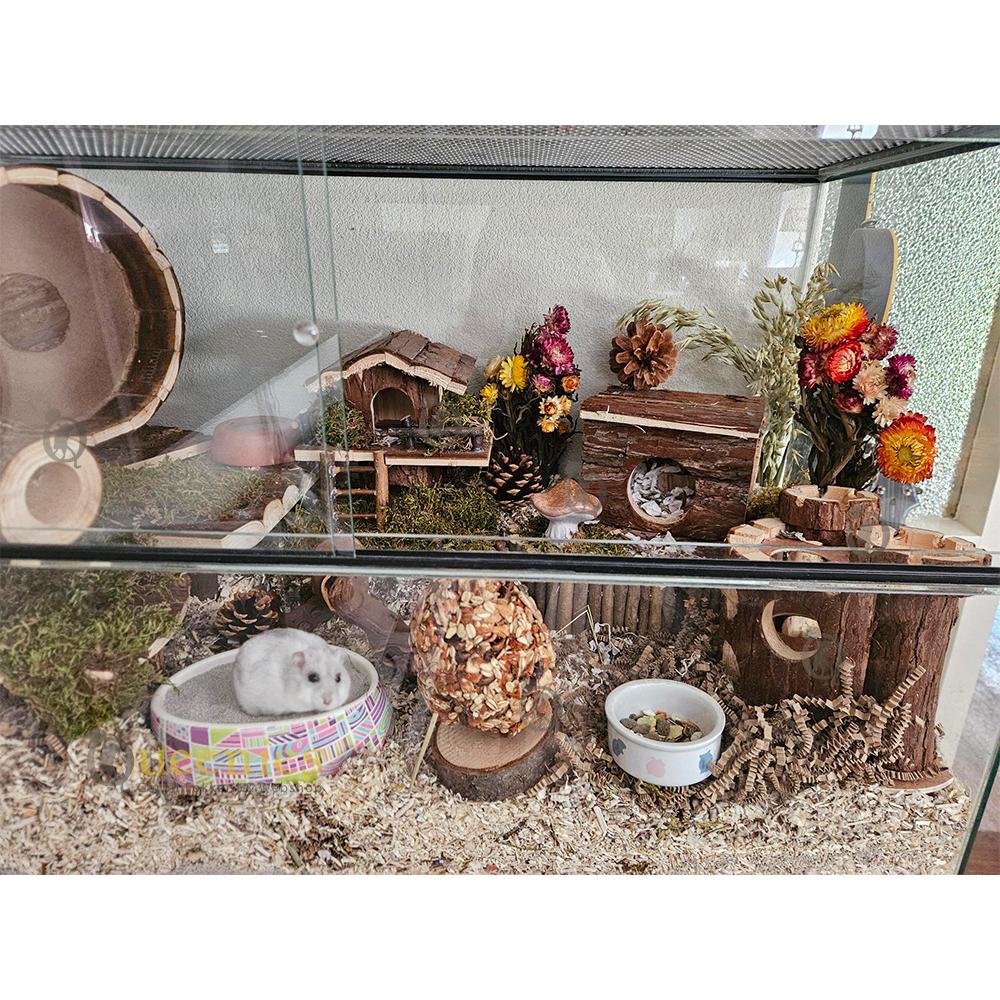 Ingericht terrarium met bloemen