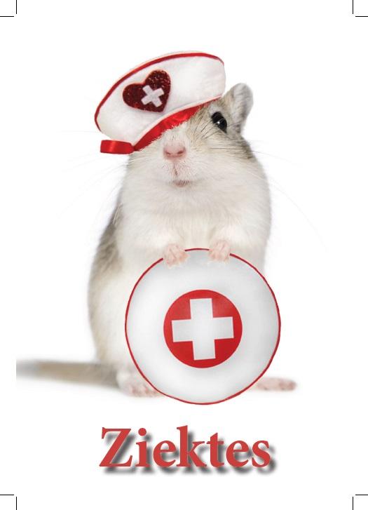 Gerbil informatie boekje