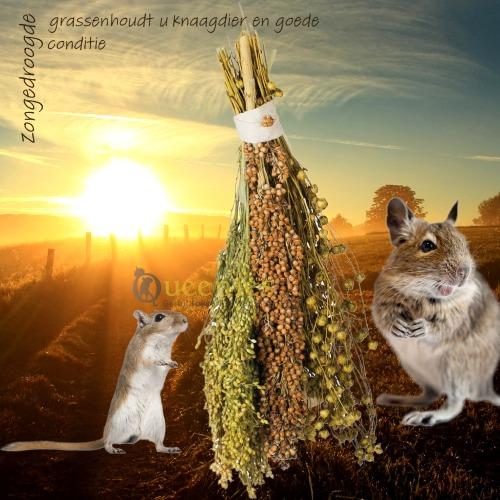 Gerbil Bouquet Pick & Run met Darre/Pluimgierst/Vlas 130 gram